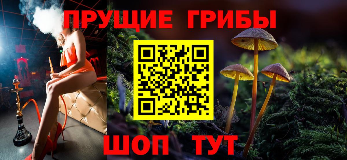 Псилоцибиновые грибы мицелий  Галлюциногенные грибы Psilocybine cubensis  Вход с VPN  Новозыбков 